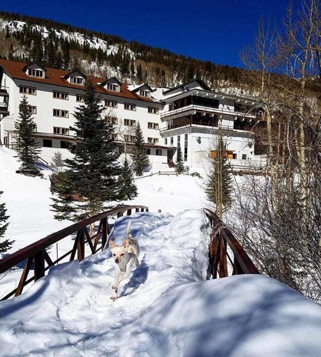 Monarch Mountain Lodge 외부 사진